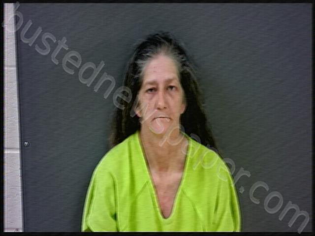 Nasworthy, Deborah L 20250514 214100 Starke County, Indiana Booking