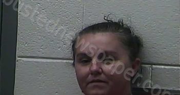 VICE, REBECCA | 2025-05-14 18:28:00 Montgomery County, Kentucky Booking
