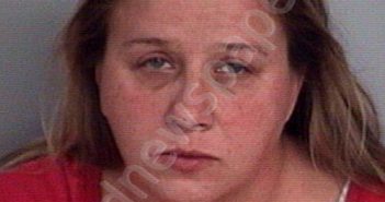 AKINS, JENNIFER JO | 2025-05-15 11:13:00 Bradford County, Florida Booking