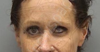 <B>FULLER</B>, <B>JULIE</B> <B>ANN</B> #, Lee County, Florida - 2025-05-15 04:57:00