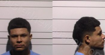 <B>ROMAN</B>, <B>JORGE</B> <B>ALEJANDRO</B> #, Gillespie County, Texas - 2025-05-15