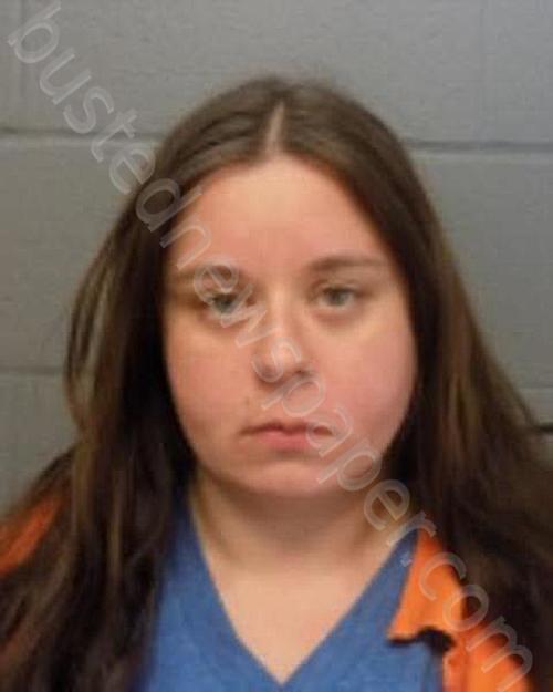 MICHTA, ASHLEY #, Delaware County, New York - 2025-05-15 21:26:00