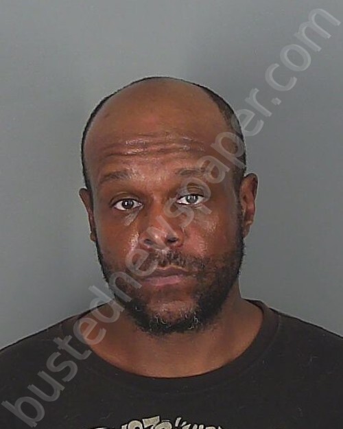 DEVARELL JAMES FULTZ #, Spartanburg County, South Carolina - 2025-05-15 10:11:16