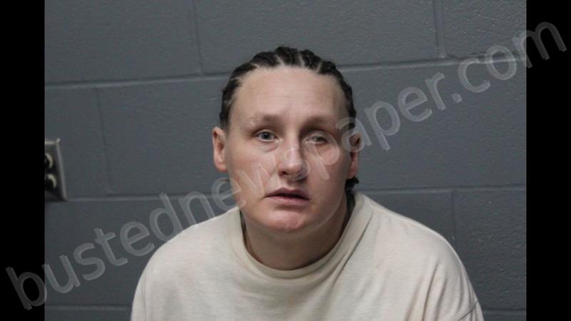 FERGUSON, MICHELLE RENEE #, Cooper County, Missouri - 2025-05-16 12:07:00