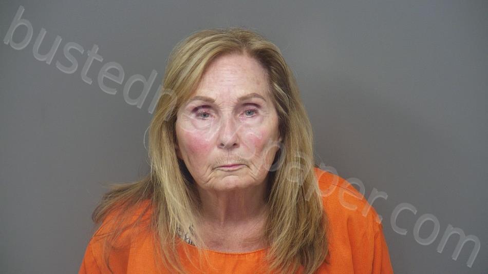 MINTON, NANCY ELLEN #, Hendricks County, Indiana - 2025-05-16 16:07:00