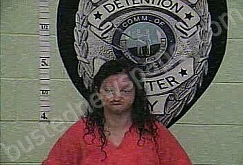 ADKINS, TRACEY LYNN #, Jackson County, Kentucky - 2025-05-16 13:14:00
