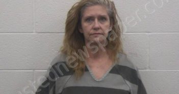 HANLEY, SYLVIA MICHELLE | 2025-05-16 00:37:00 Loudon County, Tennessee Booking
