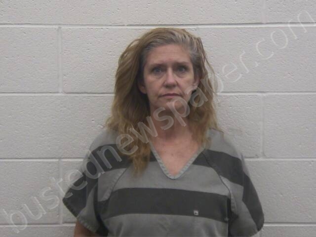 HANLEY, SYLVIA MICHELLE #, Loudon County, Tennessee - 2025-05-16 00:37:00