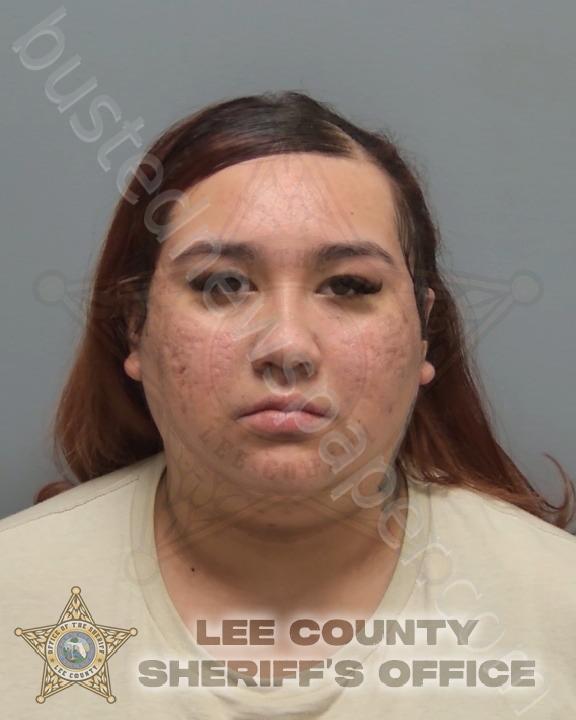 VILLARREAL, MARIA LUZ #, Lee County, Florida - 2025-05-16 00:38:00