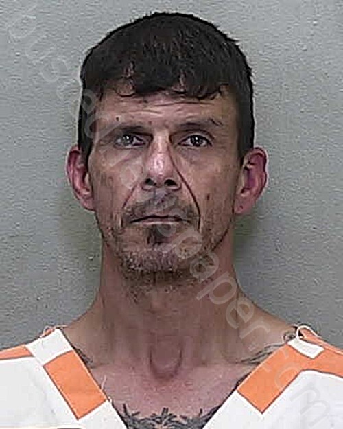 COLON, DAVID CRUZ #, Marion County, Florida - 2025-05-17 05:51:00