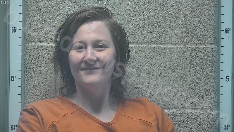 GIBSON, JENNIFER L #, Henderson County, Kentucky - 2025-05-17 23:19:00