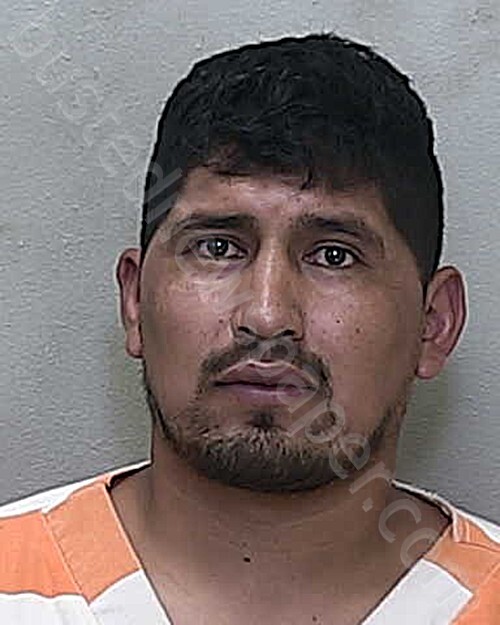 GUZMAN MARTINEZ, JOSE LUIS #, Marion County, Florida - 2025-05-17 20:34:00