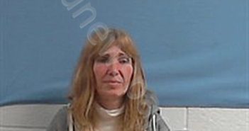 CLARK, NATASHA LYNN | 2025-05-17 04:32:00 Stone County, Arkansas Booking