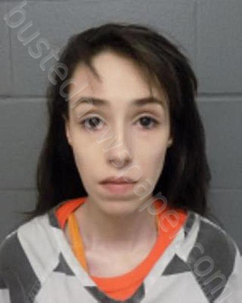 LAZARUS, OLIVIA A #, Delaware County, New York - 2025-05-17 14:20:00