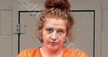 HARMON, KRISTEN ELIZABETH | 2025-05-18 01:45:00 Marion County, West Virginia Booking