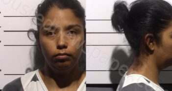 BELTRAN PRADO, ROCIO YANETH PEREZ | 2025-05-18 Gillespie County, Texas Booking