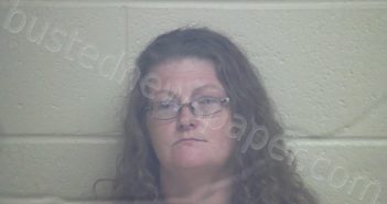 HORTON, LYN MARIE | 2025-05-18 02:04:00 Webster County, Kentucky Booking