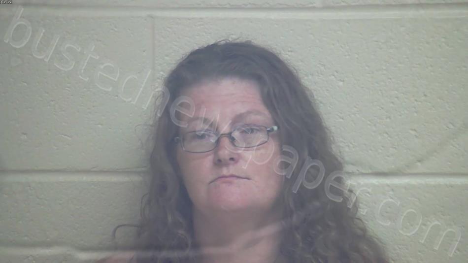 HORTON, LYN MARIE #, Webster County, Kentucky - 2025-05-18 02:04:00