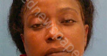 <B>BLANDING</B>, <B>MICHELLE</B> <B>DENISE</B> #, Desoto County, Florida - 2025-05-18 06:08:00