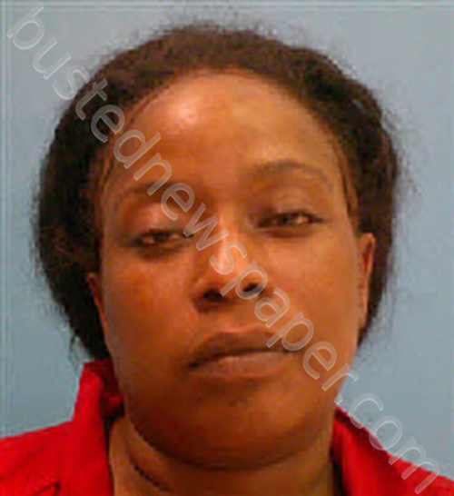 BLANDING, MICHELLE DENISE #, Desoto County, Florida - 2025-05-18 06:08:00