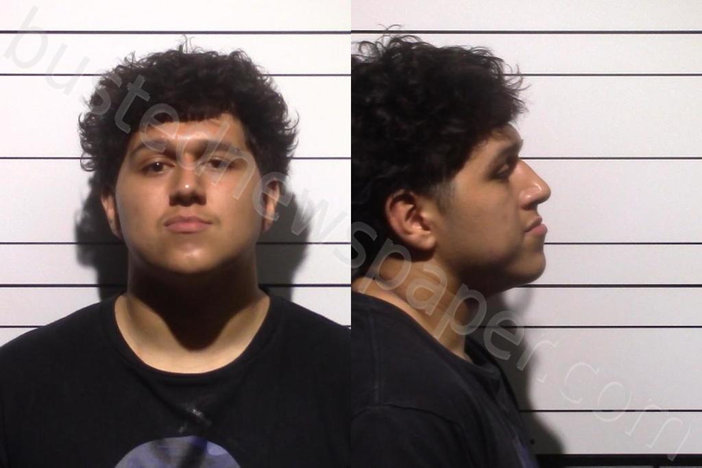 ALVA, AIDEN ENRIQUE #, Gillespie County, Texas - 2025-05-18