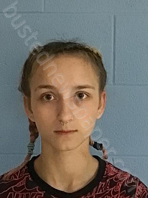 HIGGINBOTHAM, KEYONIA JEAN #, Henry County, Missouri - 2025-05-18 04:00:00