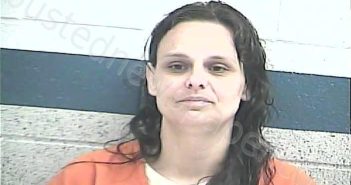 CHAPMAN, TINA MARIE | 2025-05-18 19:57:00 Breckinridge County, Kentucky Booking