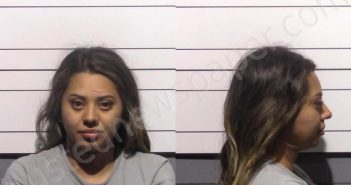 CASTANEDA, LYNDA ANN | 2025-05-18 Gillespie County, Texas Booking