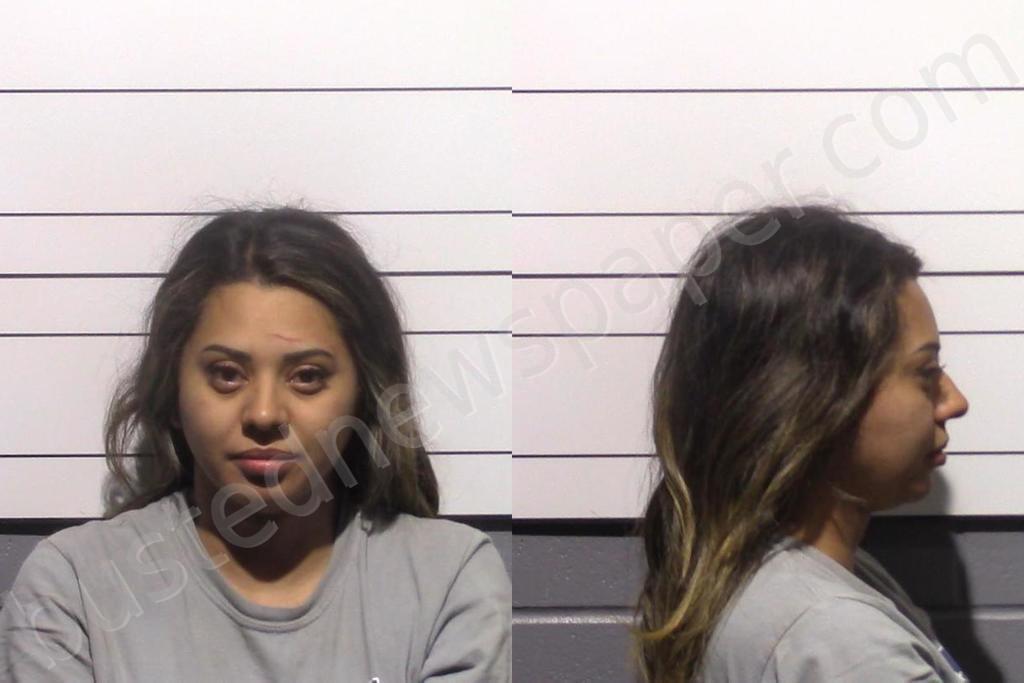 CASTANEDA, LYNDA ANN #, Gillespie County, Texas - 2025-05-18