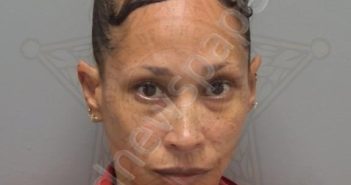 <B>FLORES</B>, <B>SERENA</B> <B>ROSELLE</B> #, Lee County, Florida - 2025-05-18 03:20:00