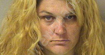 SNYDER, TIFFANY NICOLE | 2025-05-18 00:05:00 Wood County, West Virginia Booking