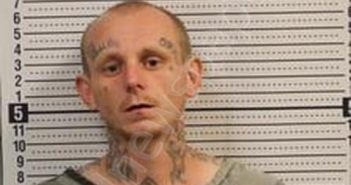 AARON BROWN | 2025-05-19 16:55:00 Greene County, Arkansas Booking