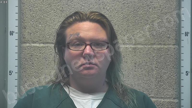 COLLINS, SARA #, Henderson County, Kentucky - 2025-05-19 11:23:00