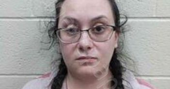 AMANDA LYNNE CASEY | 2025-05-19 12:00:00 Andrew County, Missouri Booking
