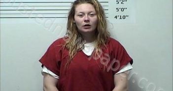 SCROGGINS, LIZZIE LACOLE | 2025-05-19 Rhea County, Tennessee Booking