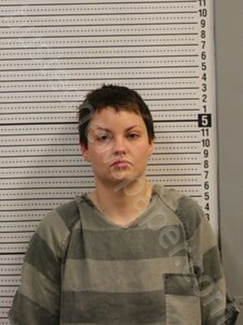 ALLISON SWEANEY #, Greene County, Arkansas - 2025-05-19 14:44:00