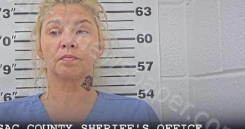 <B>WALDRIDGE</B>, <B>MANDY</B> <B>L</B> #, Massac County, Illinois - 2025-05-19 17:00:53