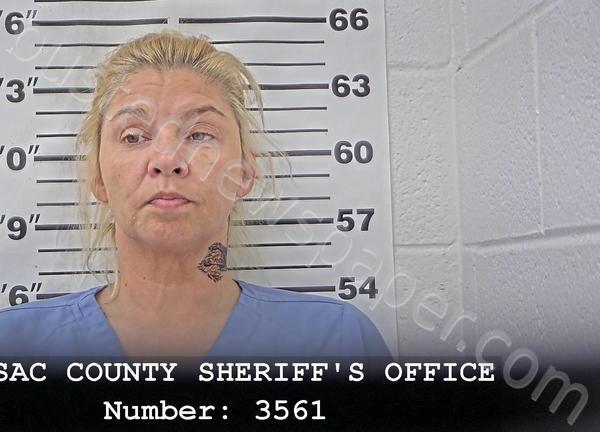 WALDRIDGE, MANDY L #, Massac County, Illinois - 2025-05-19 17:00:53