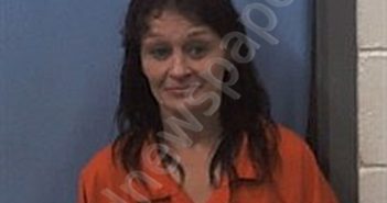 MUNN, TABITHA LEANN | 2025-05-19 11:38:00 Van Buren County, Arkansas Booking