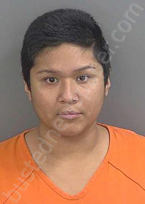 RODRIGUEZ,INOCENCIA #, Collier County, Florida - 2025-05-19