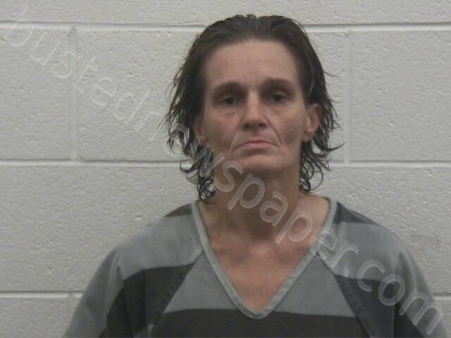 SMITH, JEANETTE MARIE #, Loudon County, Tennessee - 2025-05-19 20:10:00