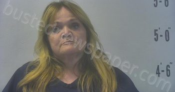 LINDSEY, LACI D | 2025-05-19 17:09:00 Pulaski County, Indiana Booking