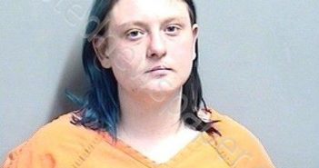 SHEPPARD, SHELBY NICOLE | 2025-05-19 19:20:00 Dallas County, Iowa Booking
