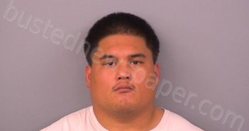 CERTEZA, ANTHONY P | 2025-05-19 12:33:00 Sumner County, Tennessee Booking