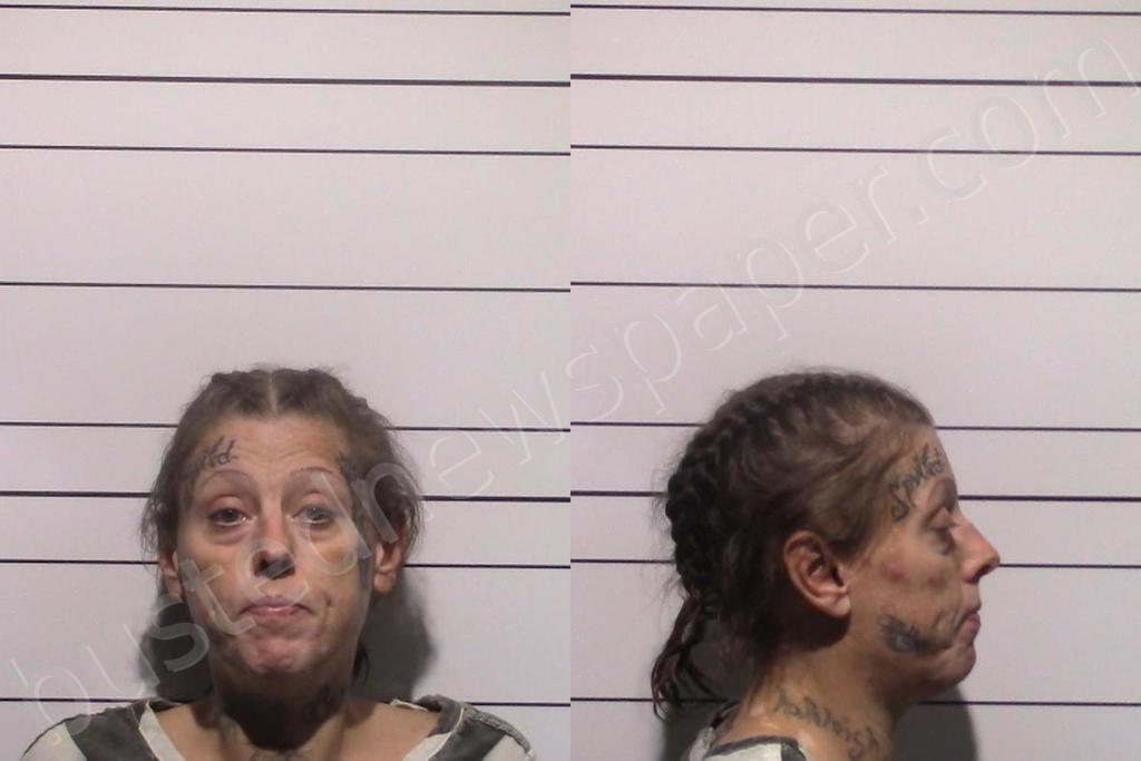 ODELL, ASHLEY DENISE #, Gillespie County, Texas - 2025-05-19