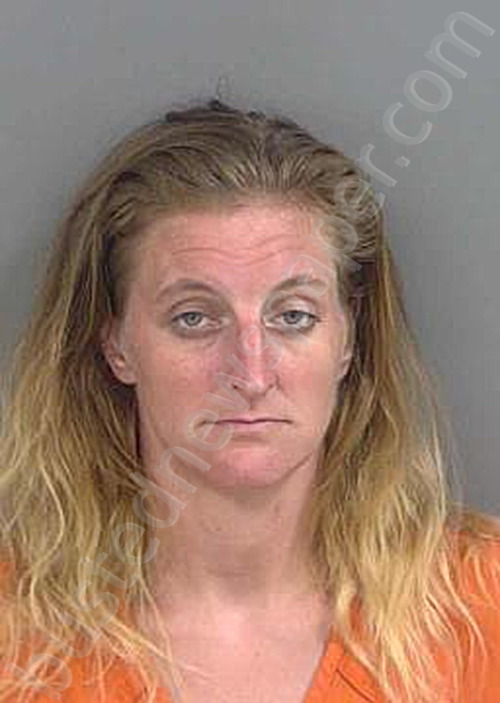 MINCHER,KAILIN #, Collier County, Florida - 2025-05-20
