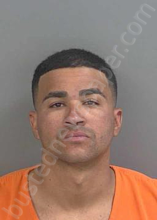 RODRIGUEZ,PEDRO LUIS #, Collier County, Florida - 2025-05-20