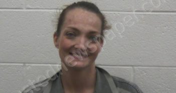 BURCHFIELD, FLEISHA ESKIVONNE | 2025-05-20 16:55:00 Loudon County, Tennessee Booking