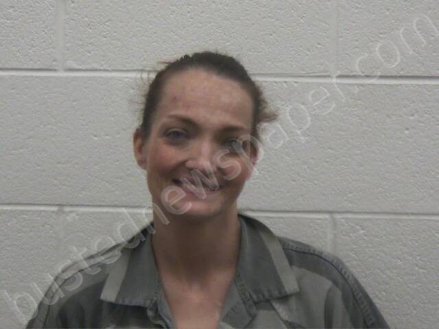 BURCHFIELD, FLEISHA ESKIVONNE #, Loudon County, Tennessee - 2025-05-20 16:55:00