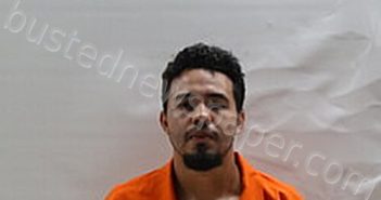 ARELLANO KRISTIAN EDUARDO | 2025-05-20 Cameron County, Texas Booking